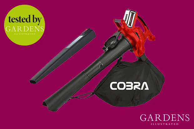 Cobra leaf blower tested by Gardens Illustrated