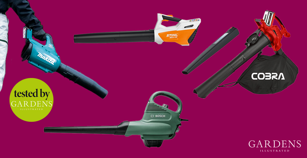 The 6 Best Leaf Blowers of 2024
