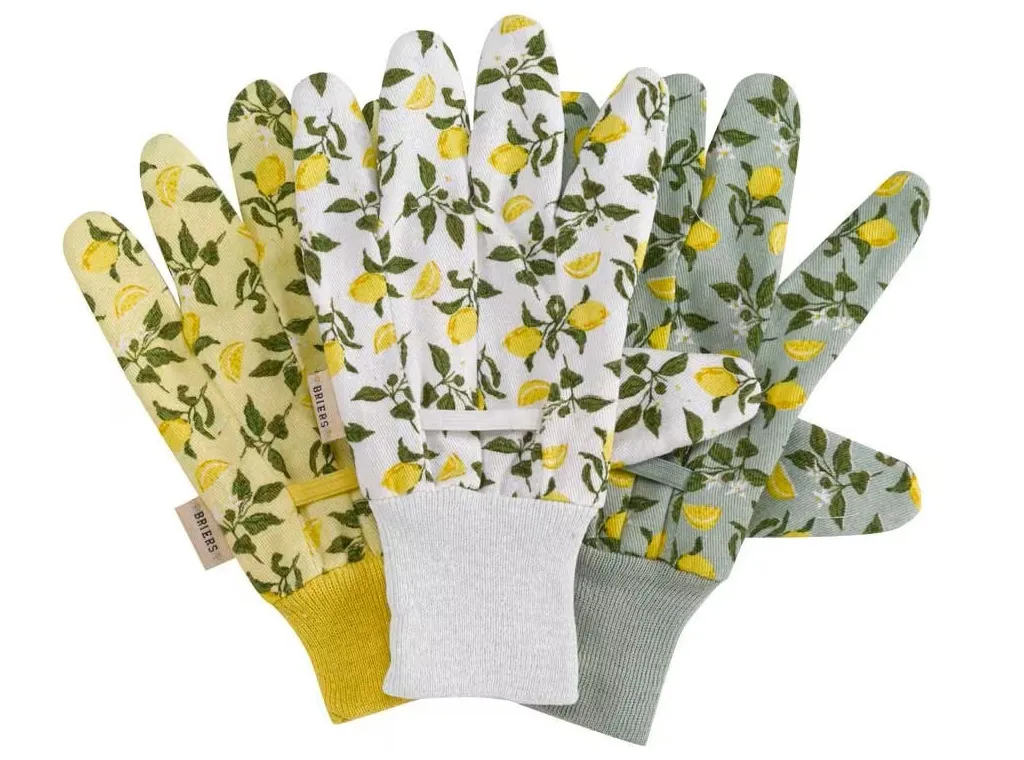 Sicilian lemon cotton gloves on a white background