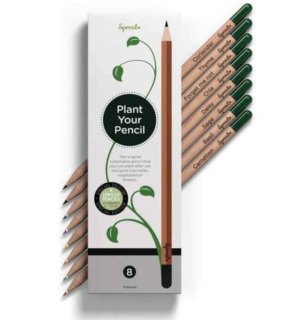 Sprout plantable colouring pencils on a white background