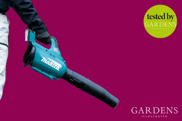Makita leaf blower, tested by Gardens Illustrated