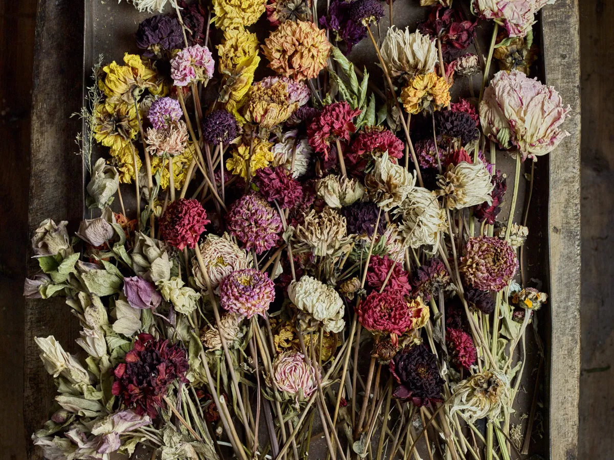 Muted tones of dried flowers in floral artist Bex Partridge's studio