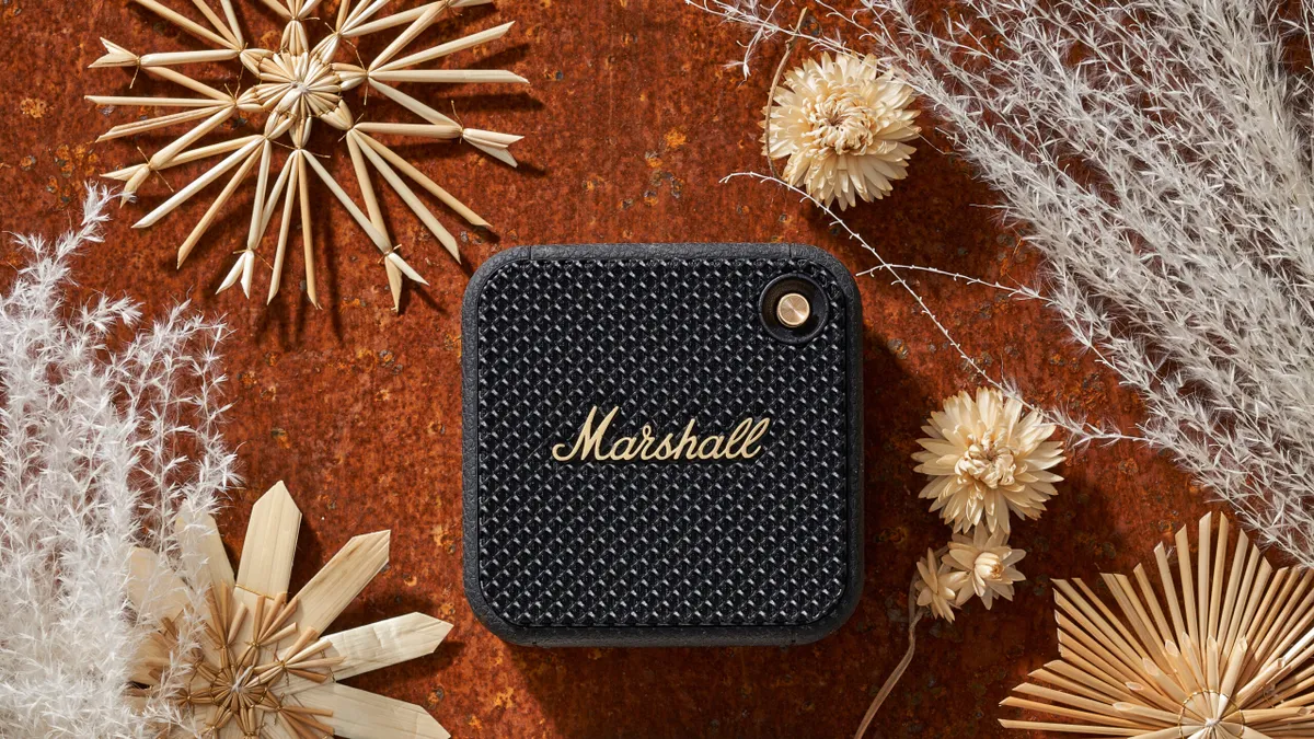 Marshall portable speaker © Dave Caudery