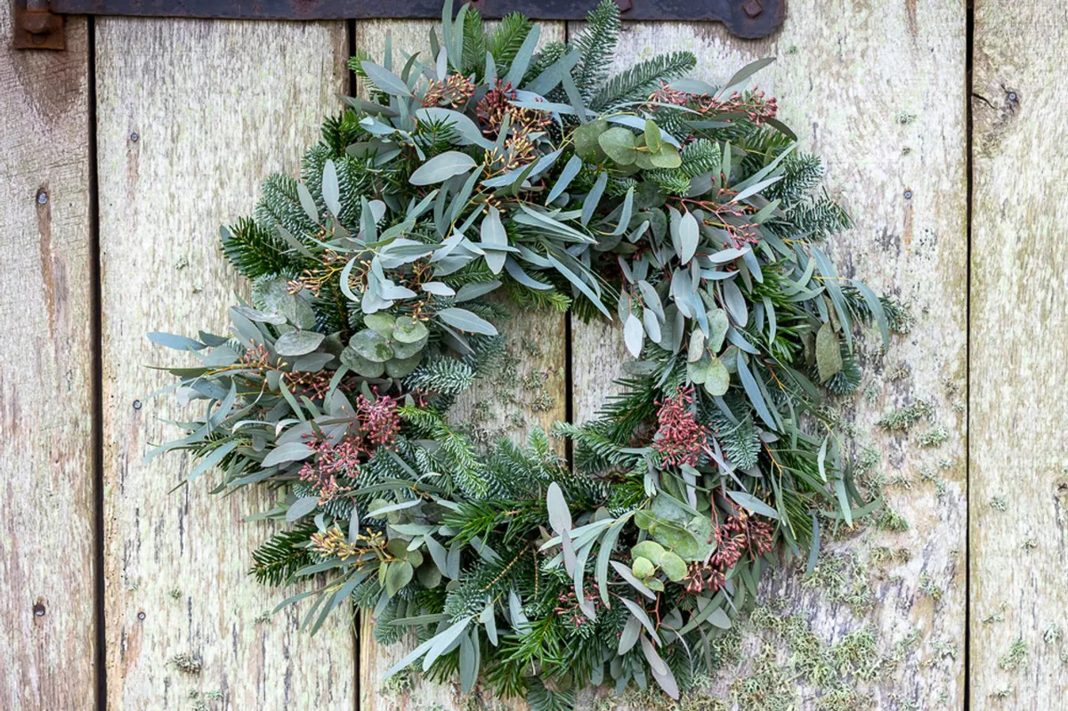 Mixed Eucalyptus and Green Pine Wreath on a wooden door