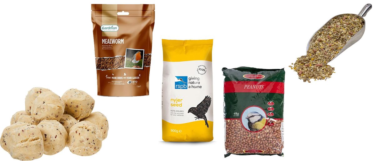 Best bird seed, mealworms and suet balls for your garden visitors ...