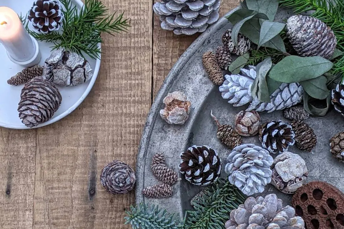 Natural Christmas decorations and assortment of pine cones on a tray