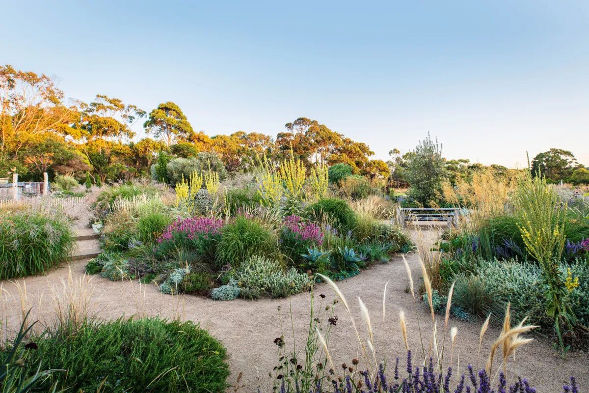 Jo Ferguson's garden in Australia