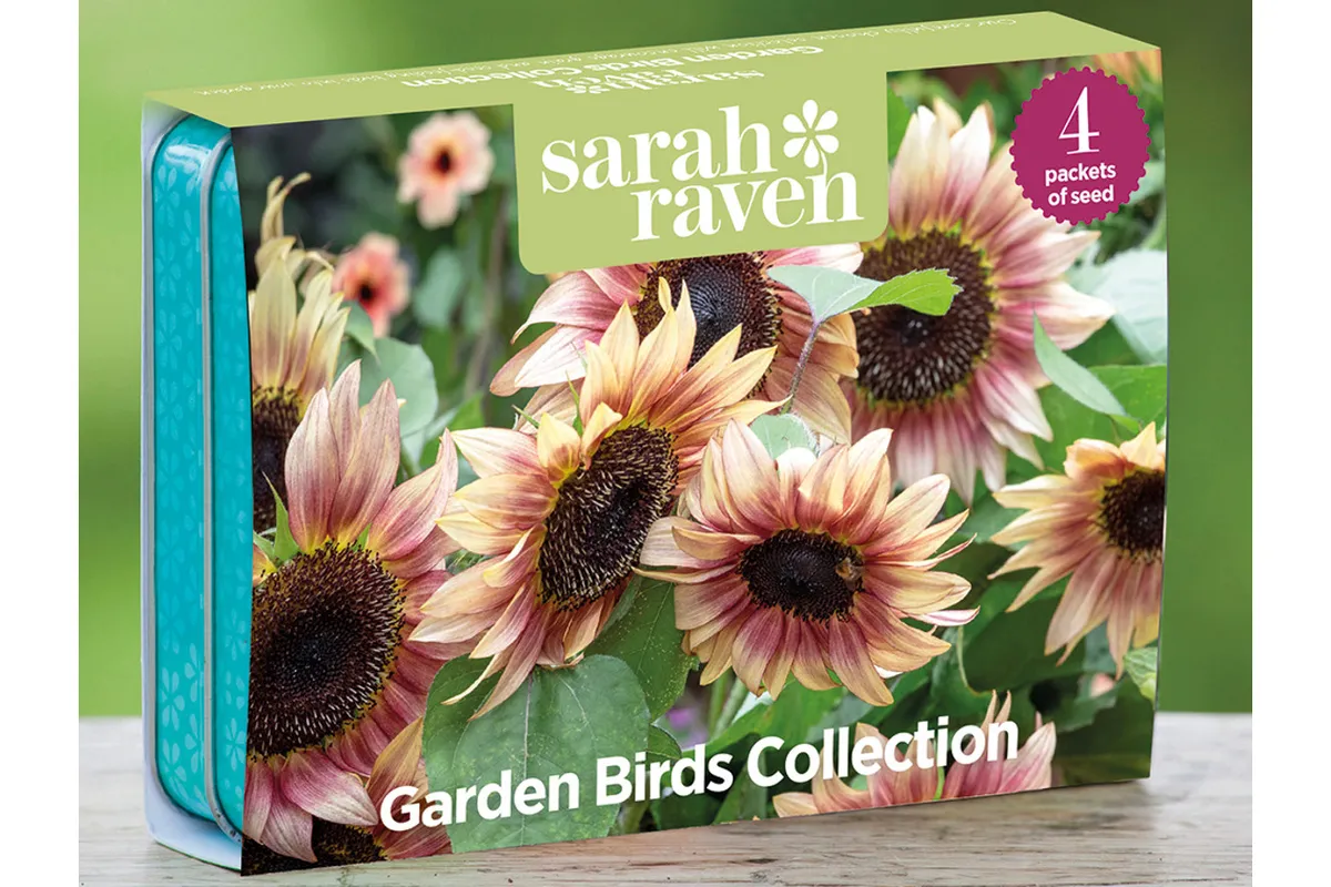 Sarah Raven Garden Birds Seed Tin Collection on a table