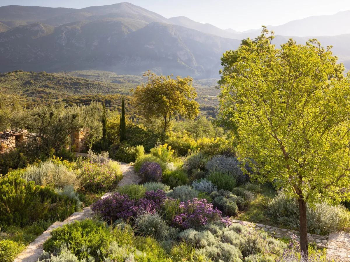 View across garden to mountains at Ilias Estate, Greece, designed by Tania Compton.