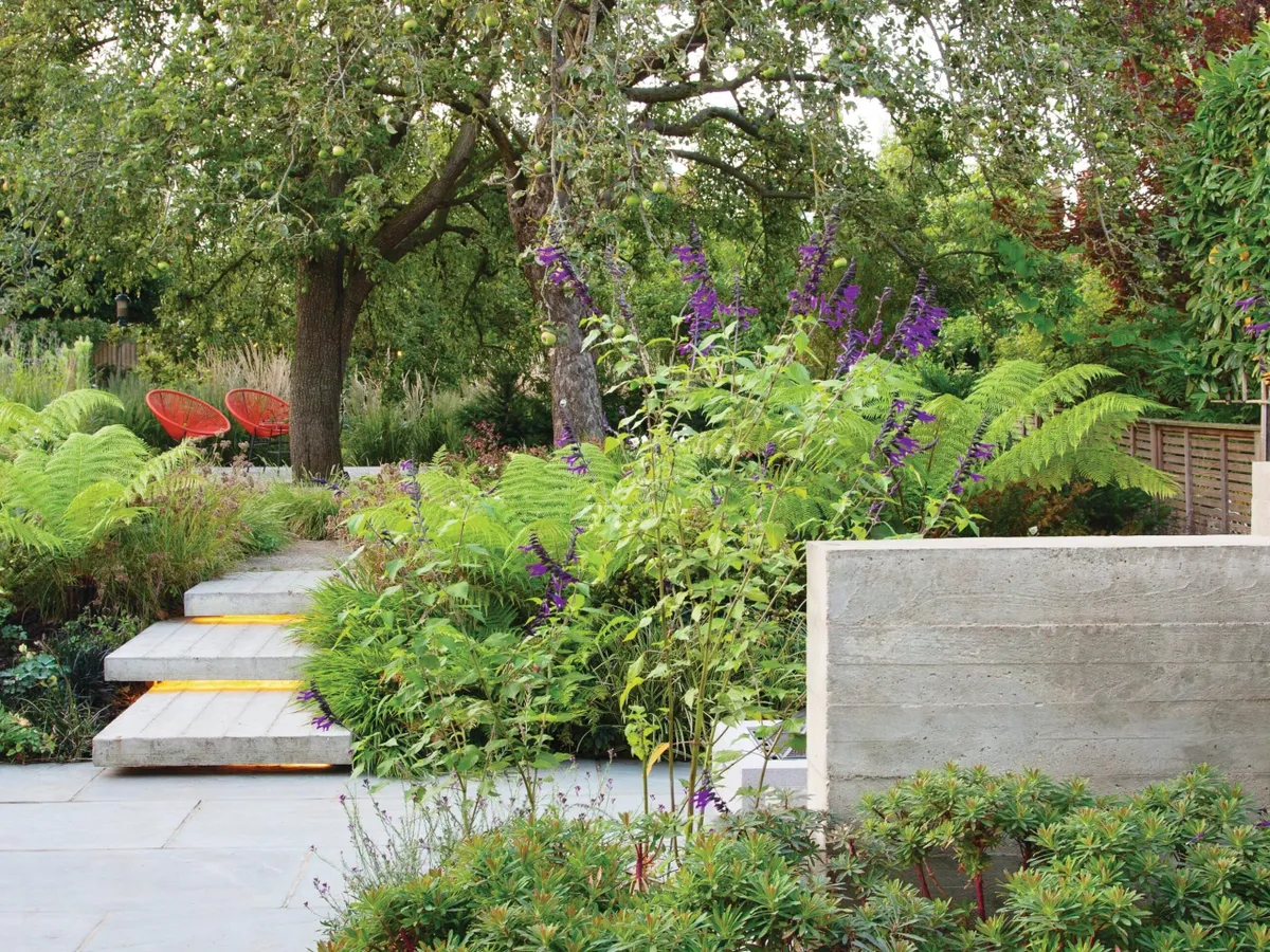 Barbara Samitier-designed London garden