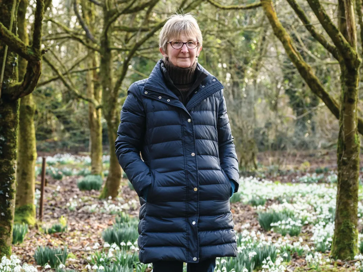Amanda Hirst, co-director of the Shepton Mallet Snowdrop Festival