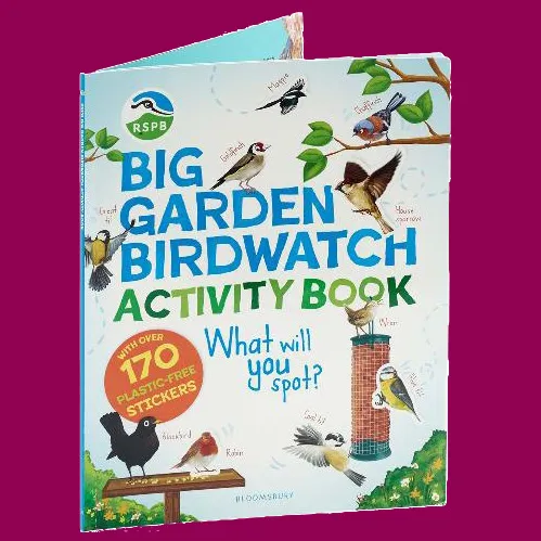 RSPB Big Garden Birdwatch activity book on a pink background
