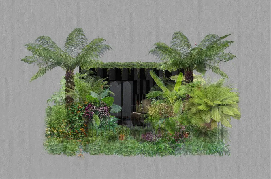 The Addleshaw Goddard Junglette Garden, Chelsea Flower Show 2024