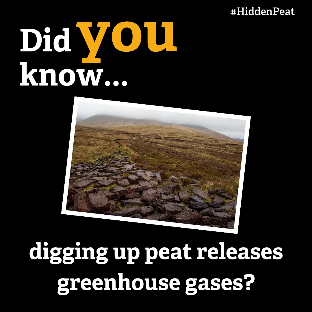 Digging up peat releases greenhouse gases