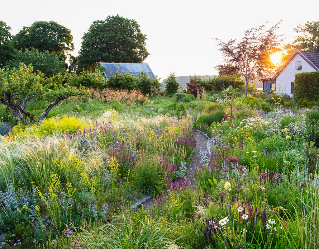 Finalist in the Beautiful Gardens Category and shot for Gardens Illustrated for the June 2023 issue - Klinta, Peter Korn's Home Garden - © Claire Takacs