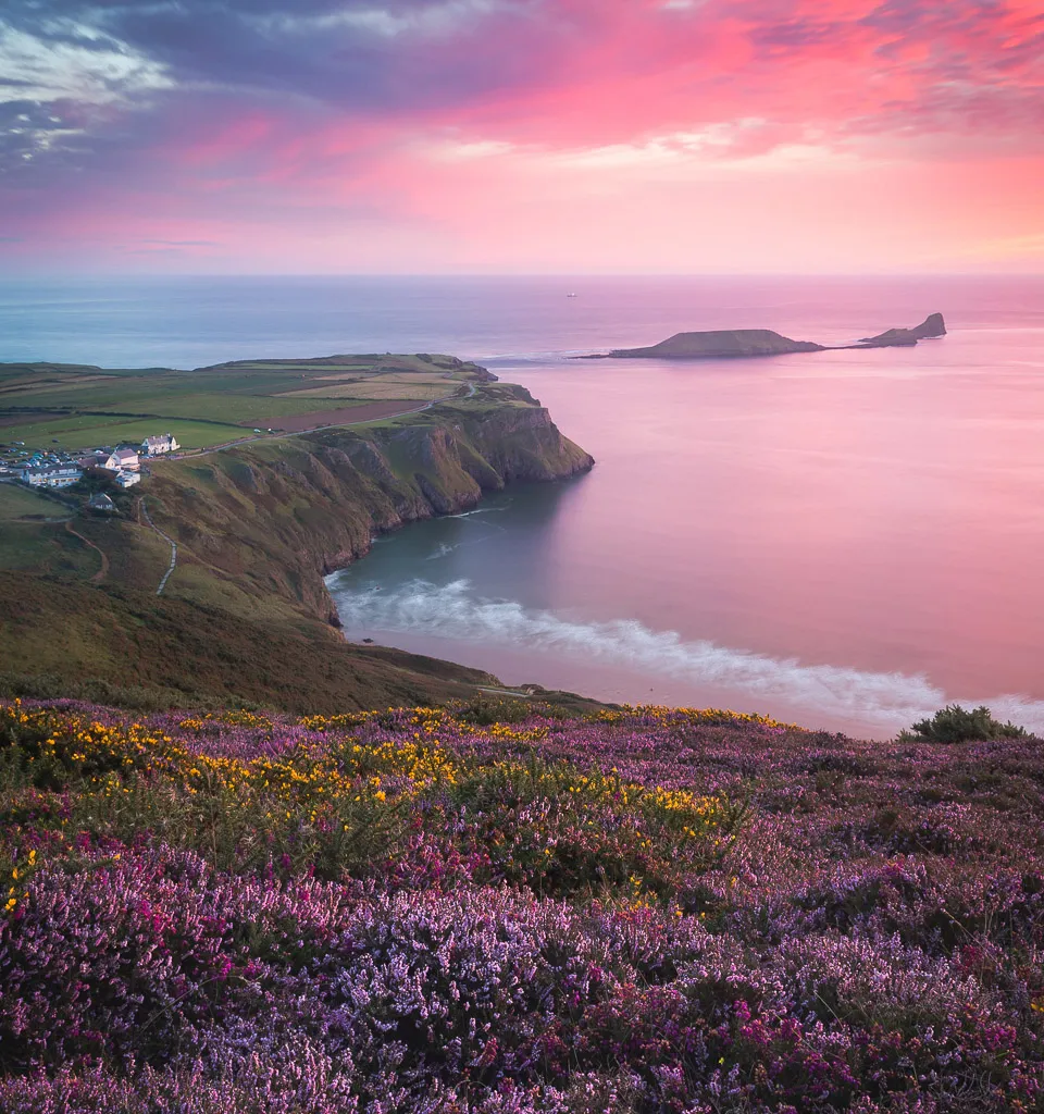 Third place in the Wildflower Landscapes category - Rhossili Pastels - © Drew Buckley