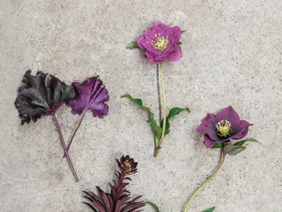 Jo Thompson's container planting ideas using hellebores and heuchera