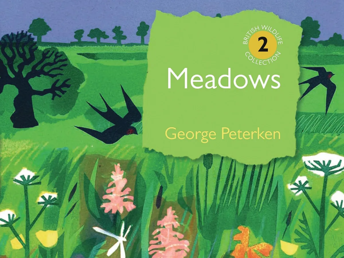 Meadows by George Peterken