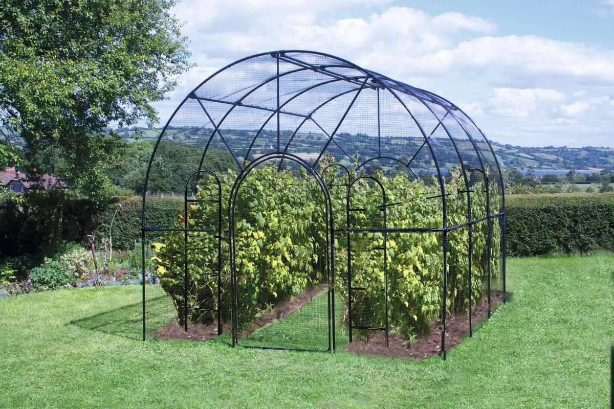 Roman fruit cage in a garden