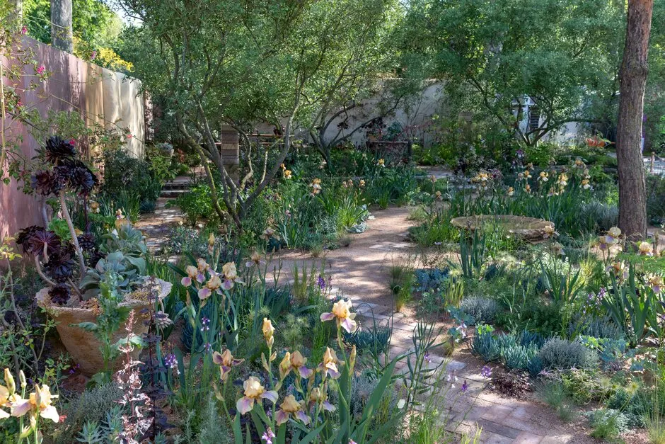 The Nurture Landscapes Garden. Designed by Sarah Price. Sponsored by Nurture Landscapes. Contractor Crocus