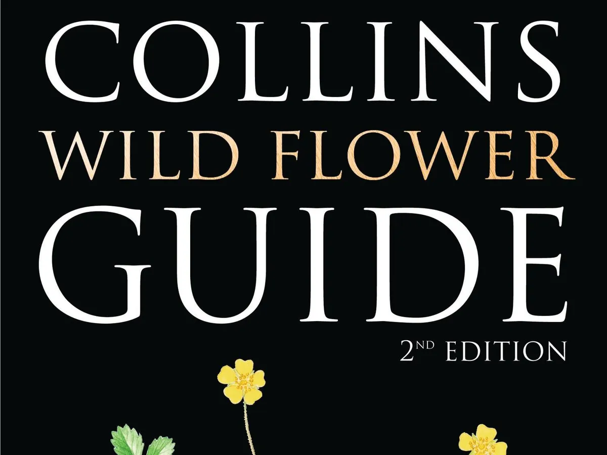 Collins Wild Flower Guide