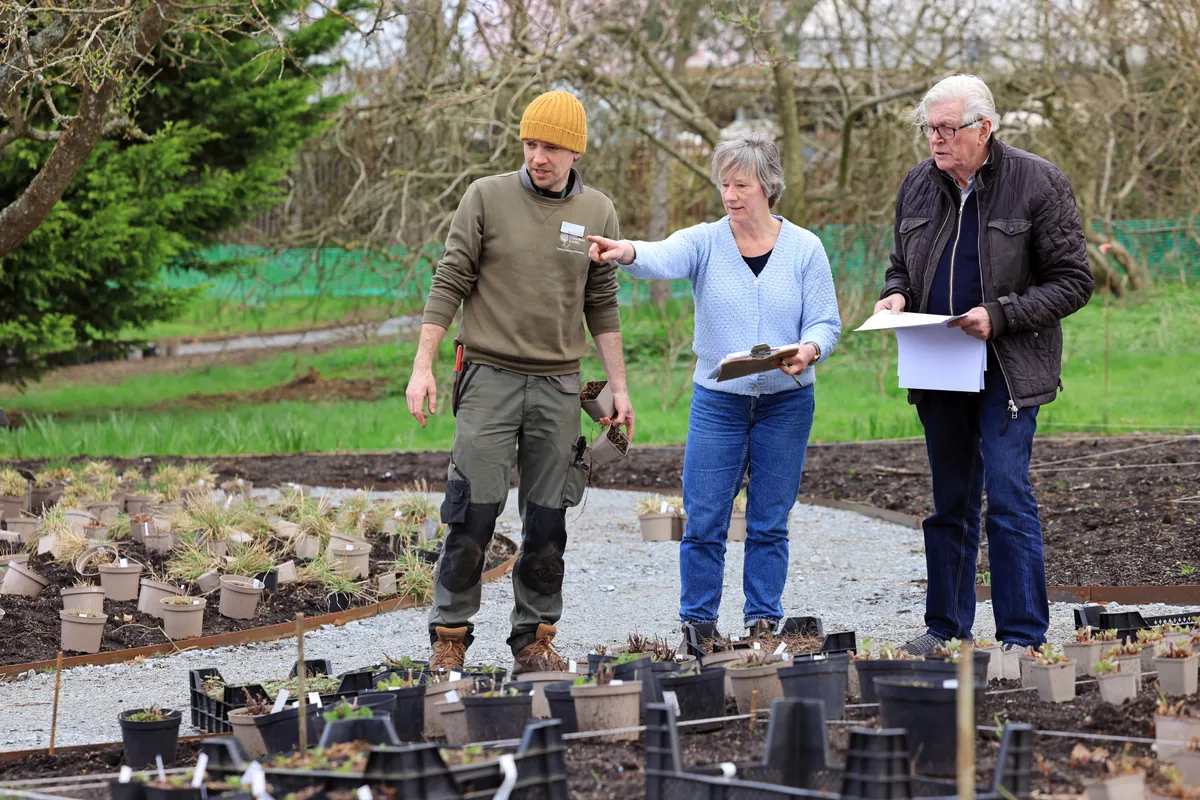 Piet Oudolf with the RHS Wisley team working on the Glasshouse borders