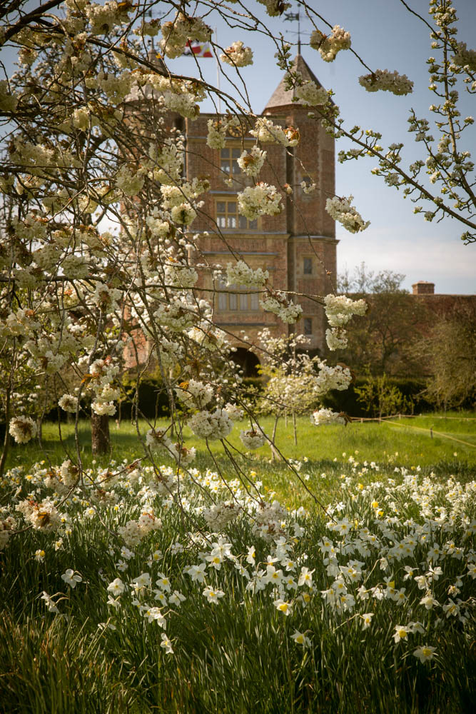 Behind the scenes at Sissinghurst: springtime in the most-loved garden in the world
