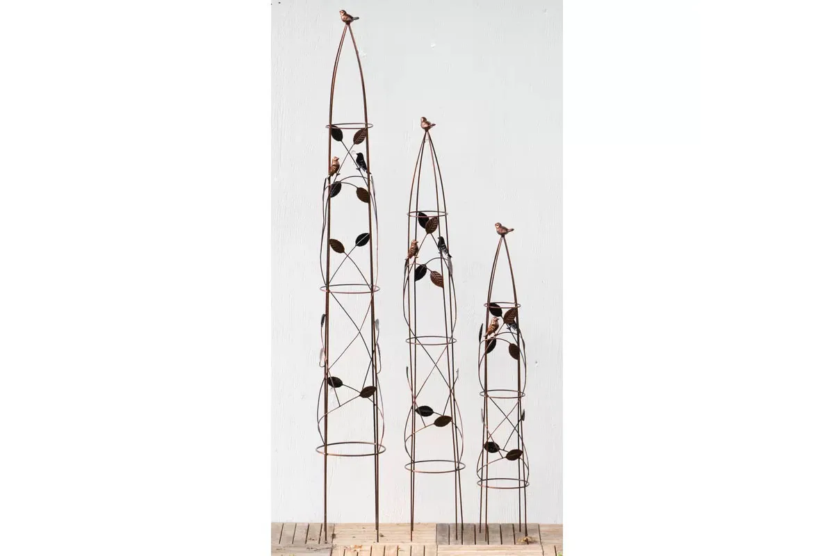 Hortense 153cm H x 21cm W Metal Obelisk Trellis