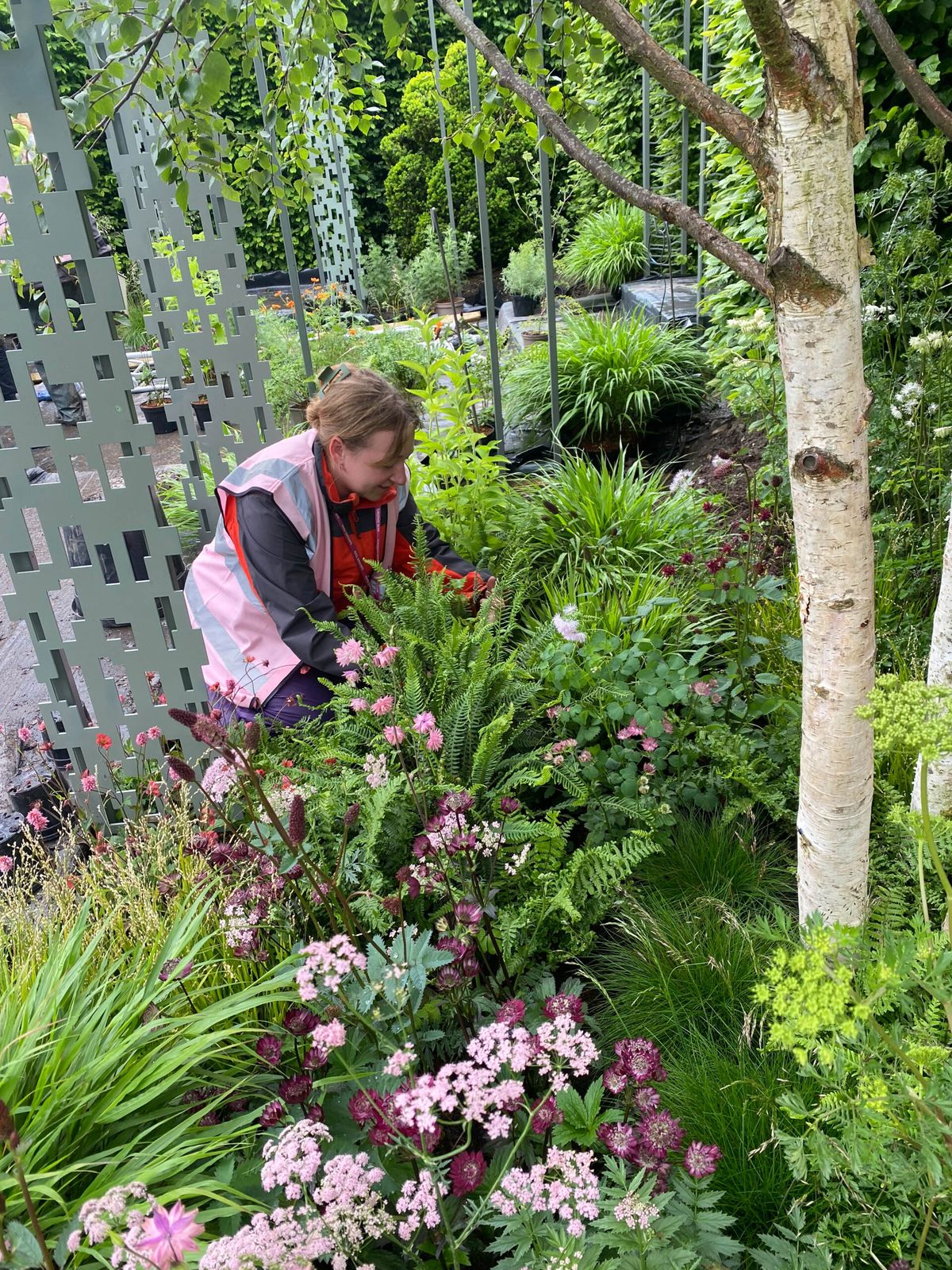 What I learned on my day as a volunteer building a Chelsea garden