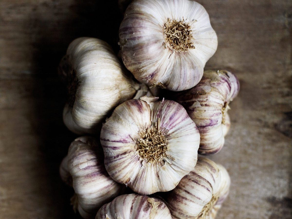 Think there is nothing to start growing now? It's actually garlic ...