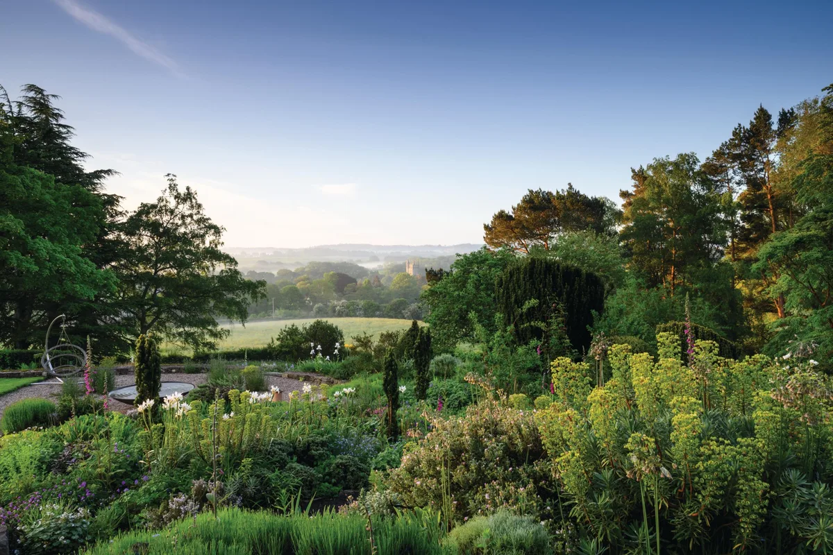 Woodland garden with rural views at Parsonage Farm Woodland garden with rural views at Parsonage Farm
