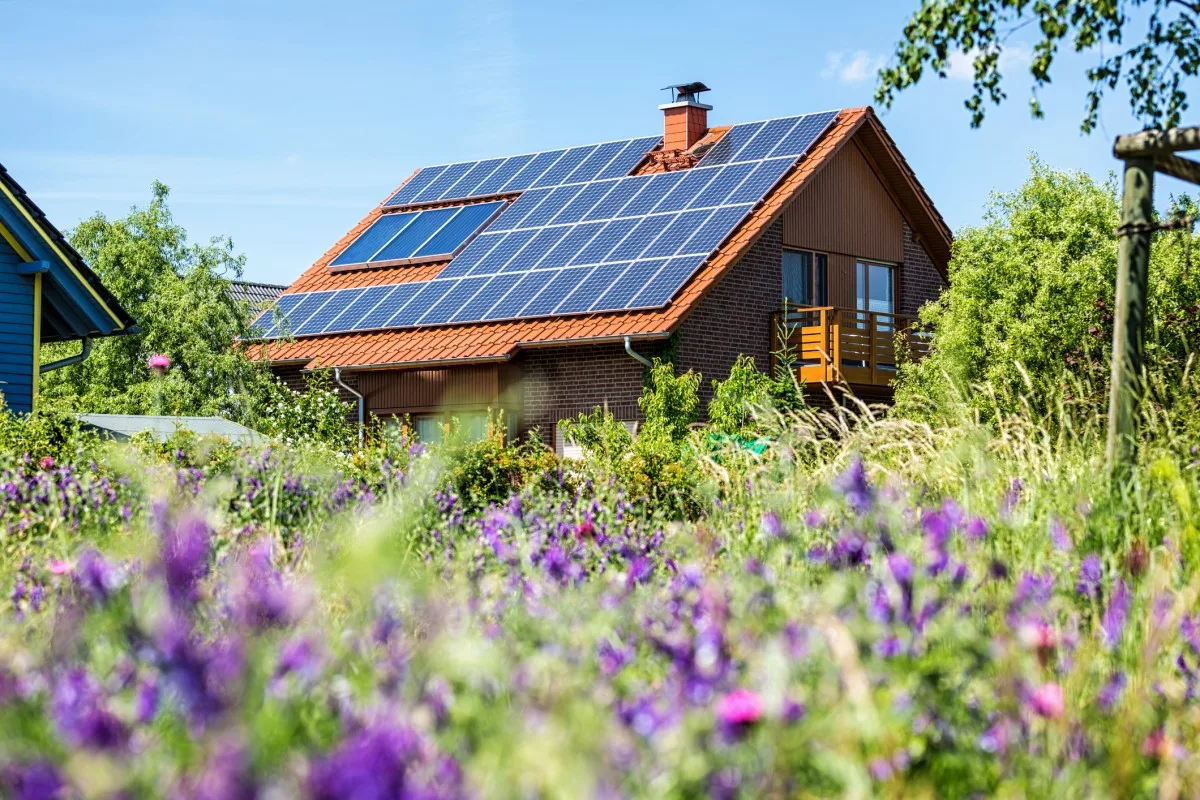solar-panels-sun-gi Solar panels don a brown house, in the foreground are purple flowers and green foliage