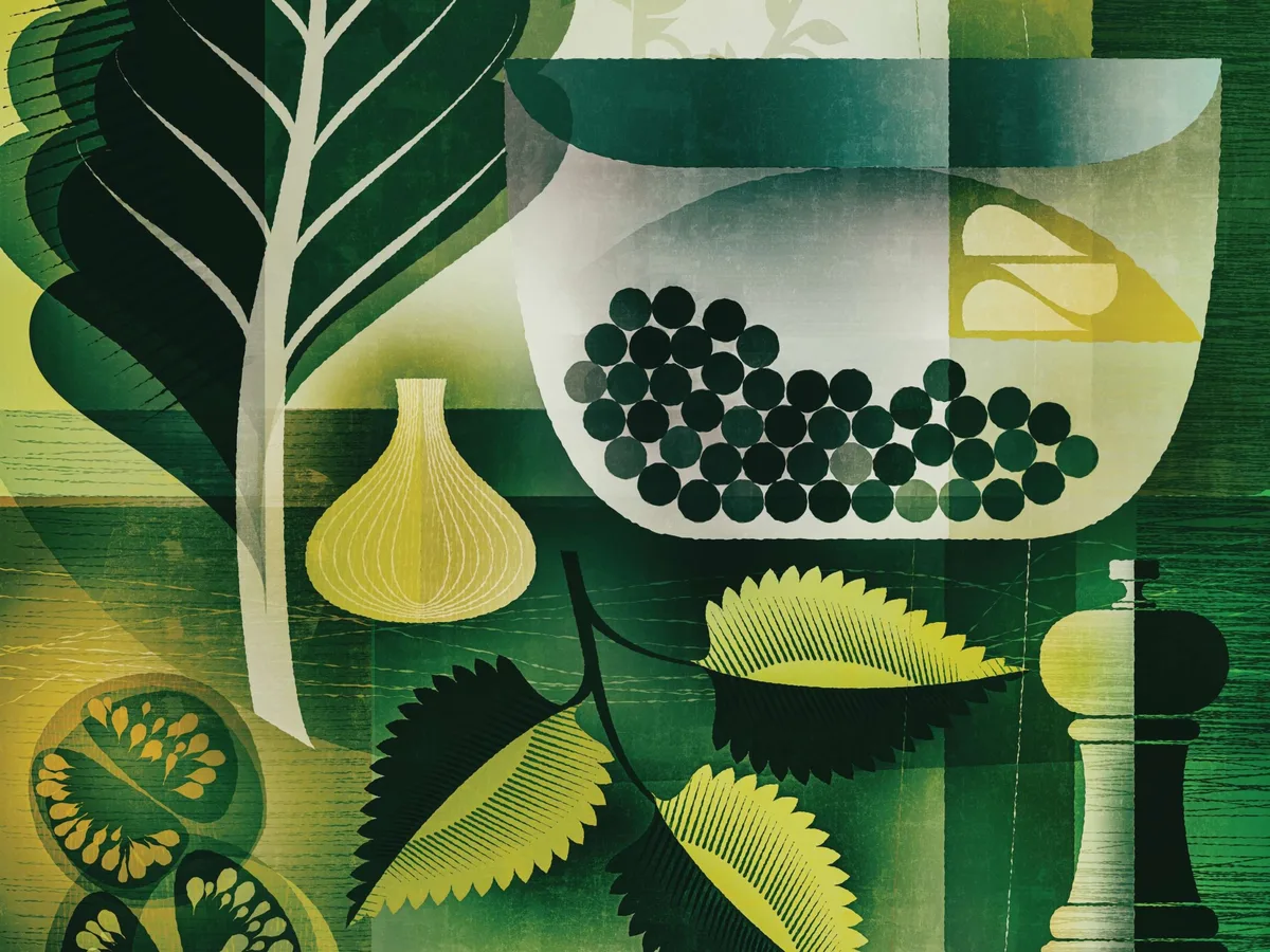 Plants and bowl illustration