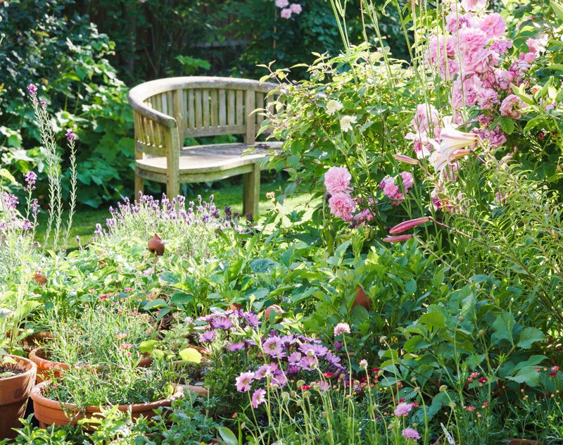 How to turn your garden into a peaceful sanctuary with top tips from ...