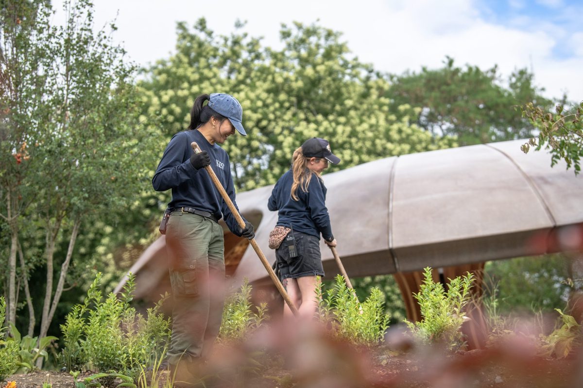 Undervalued Professions Why skilled gardeners are worth their weight in gold | Gardens Illustrated