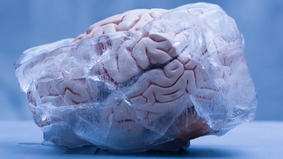 Can brain freeze cause brain damage? - BBC Science Focus Magazine