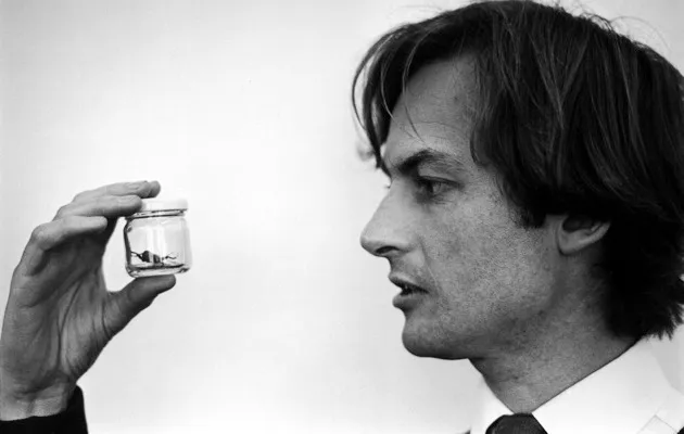 Richard Dawkins studying insect behaviour in 1976 (Terry Smith/The LIFE Images Collection/Getty Images)