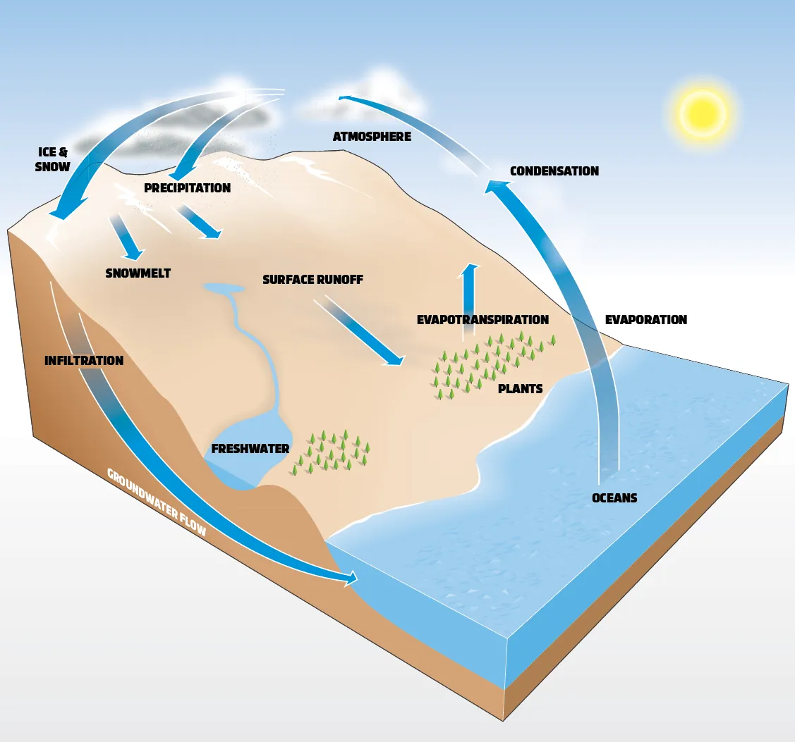 Molecules of water evaporate from oceans, lakes and plants. The water then condenses in the atmosphere, forming clouds, before falling as precipitation. Eventually, this water finds its way back into the oceans, either as surface runoff or groundwater.