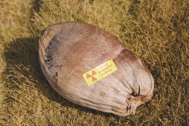 A radioactive coconut © Robert Harding
