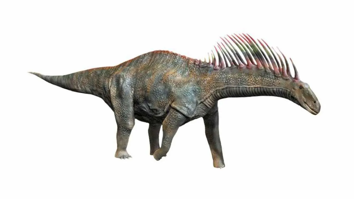 Amargasaurus By © N. Tamura | http://spinops.blogspot.com | http://paleoexhibit.blogspot.com - http://spinops.blogspot.com/2015/11/amargasaurus-cazaui.html, CC BY-SA 4.0, Link