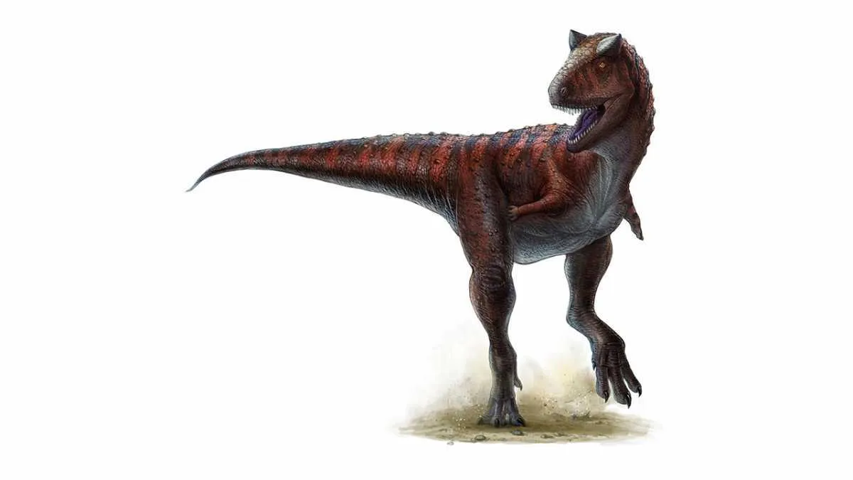 Carnotaurus by Lida Xing and Yi Liu - Persons WS IV, Currie PJ (2011) Dinosaur Speed Demon: The Caudal Musculature of Carnotaurus sastrei and Implications for the Evolution of South American Abelisaurids. PLoS ONE 6(10): e25763. doi:10.1371/journal.pone.0025763, CC BY 2.5, Link