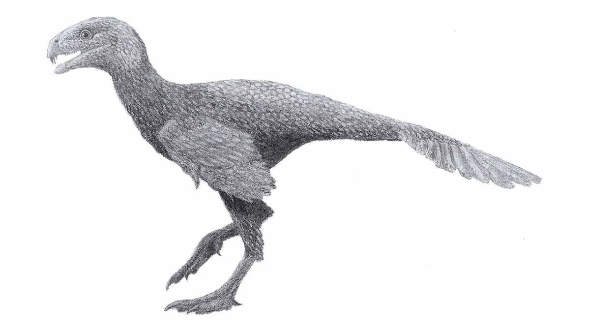 Incisivosaurus by Tomopteryx - Own work, CC BY-SA 3.0, Link