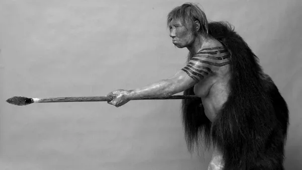 Why did the Neanderthals go extinct? - BBC Science Focus Magazine