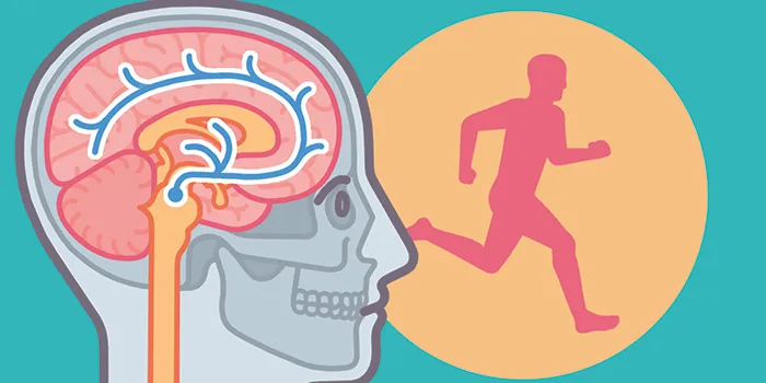 What happens to my body when I exercise?