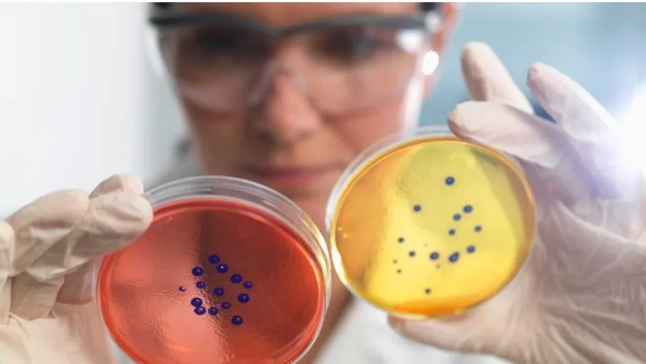How do antibiotics work? © Getty Images