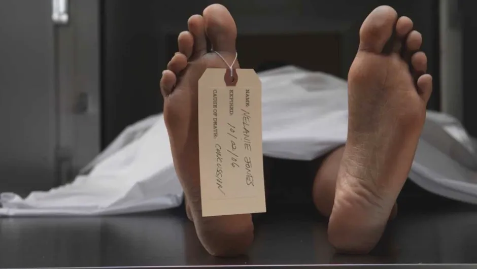 When we die, does our whole body die at the same time? - BBC