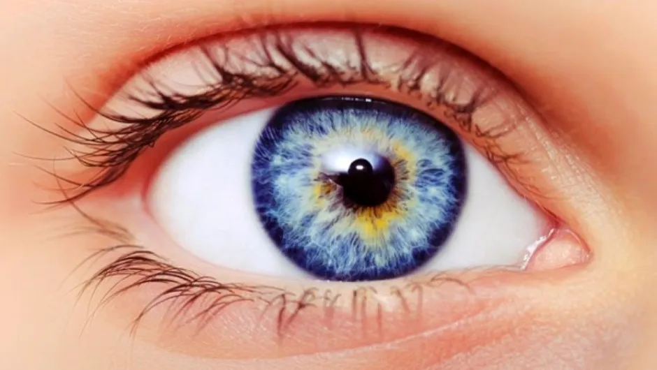Why does your iris have a colour? - BBC Science Focus Magazine