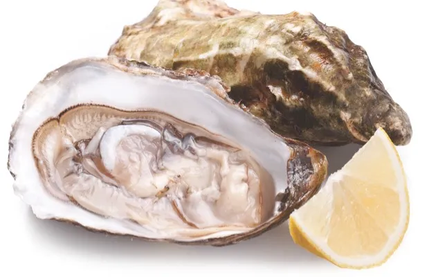 Oysters © iStock