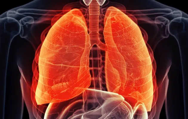Lung © iStock