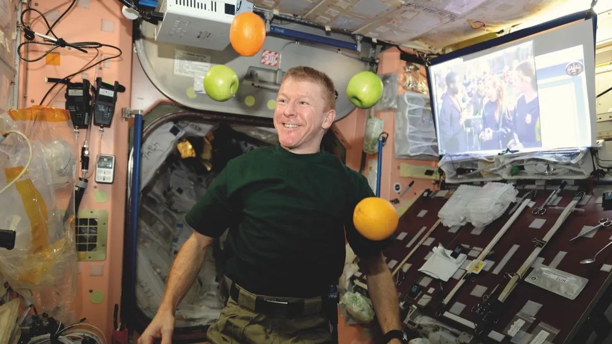A fresh fruit arrival is greeted with delight by Tim Peake on the ISS © ESA
